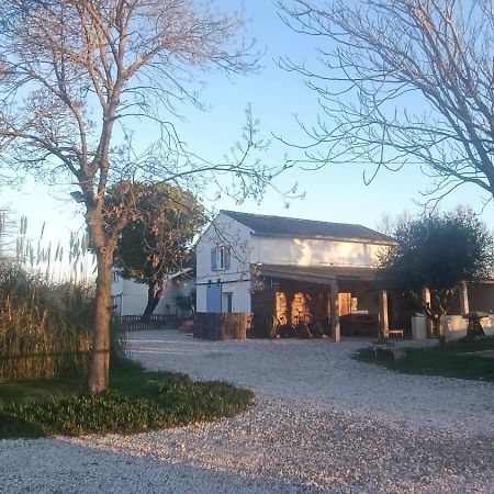 Mas Constantin Διαμέρισμα Salin-de-Giraud Εξωτερικό φωτογραφία